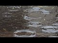 Water rain sound Video / Movie | no Music | Natural | spa | massage | sleep | Yoga | nature | stress