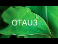 Heiva ‘Ori Tahiti Nui International 2021 - Group Otea (Te Rahiti Nui)