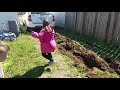 homemade bottom plow, garden