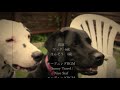 麦わら帽子にビビるダルメシアン！【黒ラブ&ダルメシアン】｜A Dalmatian scared of a straw hat!【Black lab&Dalmatian】