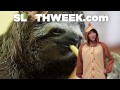 I Met a Sloth and Freaked Out