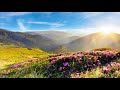 Good Morning Peace & Tranquility || Soft Piano Meditation For Studying || Sit Back And Relax