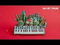 Peaceful Cactus & Birds: Relaxing Electronic & Analog Soundscapes [AMBIENT MUSIC 1 Hour]