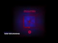 BRYN GREEN- NEW BEGINNING (2020 Rework) LOCKDOWN 2020 LP Naked Lunch Records