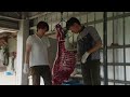[Traditional Japanese Hunting Life] Catch and Eat Wild Boar | 055