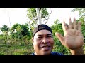 Mancing Di Sungai Alam Kalimantan 🎣