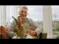 Meet the world's biggest bunnies