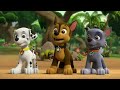 PAW Patrol | Pups Meet Rex the NEW Pup | Rescue Episode | PAW Patrol Official & Friends!
