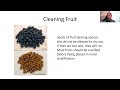 Collecting and Cultivating Native Plant Seeds with Paul Heydon
