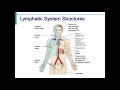 Lymphatic System Cleansing.