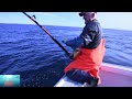 Rod and reel fishing over 700lb Atlantic bluefin tuna! Pêche aux thons rouges de plus de 300kgs!