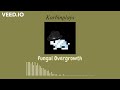 Fungal Overgrowth
