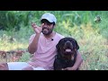 How to Increase Rottweiler Head Size in Tamil | How to Grow Dog Head in Tamil |  Chatty Rotty