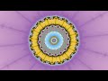 The Colour of Infinity - Mandelbrot Fractal Zoom (e1642) (4k 60fps)