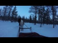 Kakslauttanen Arctic Resort Hotel 2017 Reindeer safari at kakkslauttanen arctic resort