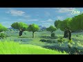 Relaxing Zelda Music in the Forest ( with videogames music will help you relax your mind)