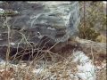 Chandos Lake Garnet Fissure - Rocks and Minerals, Collecting in Bancroft, Ontario