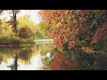 Beautiful Relaxing Music for Stress Relief | Ambient Study Music, Meditation Music, Sleep Music, Spa
