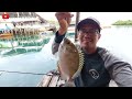 Simple and Cheap Rabbitfish Bait