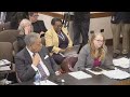 Fani Willis investigation Georgia Senate hearing | Part 1