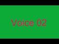 VOICE 2