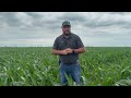 Field Awareness - What is in our field and how does it effect our crop?