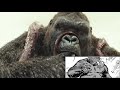 From Storyboard to Screen - Kong vs Squid