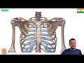 Sternum | Manubrium | Xiphoid Process | Clavicular Notch | Chest Bone | Dr Ghanshyam Jangid