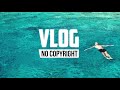 Nekzlo - Alive (Vlog No Copyright Music)