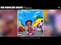 Big Moochie Grape - Fun (Official Audio) (feat. Young Dolph)