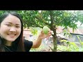 Tualbung a kan in leh a chhehvel fanna/Vlog - Zualbawihi (A tawp thleng en ang o😀)