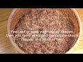 How to Make Clay Springtail Cultures Using Calcium Bearing Clay Pellets