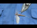 Fly Tying Realistic Red Quill with Jim Misiura