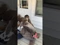 Guy plays dead after goose bites him, to see what he would do.