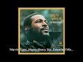 Marvin Gaye...Mercy Mercy Me...Extended Mix...