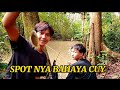 spot tersembunyi di hutan pedalaman sumatra