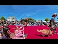 【360° VR】17th Annual San Francisco Dog Festival - 2024 SF DogFest - 8K 3D 360 VR Video #360cameras