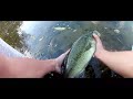 below zero bass fishing | 