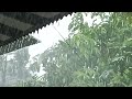 Relaxing Music Rain Sounds - Rain Sounds for Sleep, Insomnia, Meditation & Ultimate Stress Relief