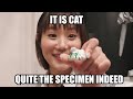 I Tried Working At Japan's Cat Bar Ft. Shibuya Kaho