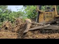 The Perfect Caterpillar D6R XL Dozer Opening Forest Road To Access people's Plantations