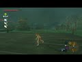 BREATH OF THE WILD GLITCHES THAT I THINK ARE FUNNY