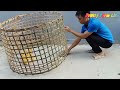 How to Create a Cozy Space for Ducklings from Bamboo || Mr Kane