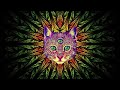 Best Rave/Party Songs Mix #1: PSY TRANCE, MINIMAL, GOA TRANCE, HEAVY BASS (song list in description)