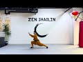Demo Shaolin Kung Fu Stances by Master Can