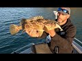 FINDING A FISHING JACKPOT | Getting Stuck High & Dry | 5 Day Shoalwater Bay Central QLD Adventure