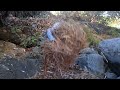 3 days of survival bushcraft alone in the river, a warm sleeping shelter, no food no water E3