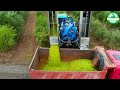 The Most Modern Agriculture Machines That Are At Another Level , How To Harvest Watermelon