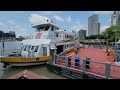 上海南浦大桥下采风/ Video shot beneath Nanpu Bridge, June 11th 2022