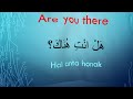 learn Arabic while you drive speak Arabic in one hour